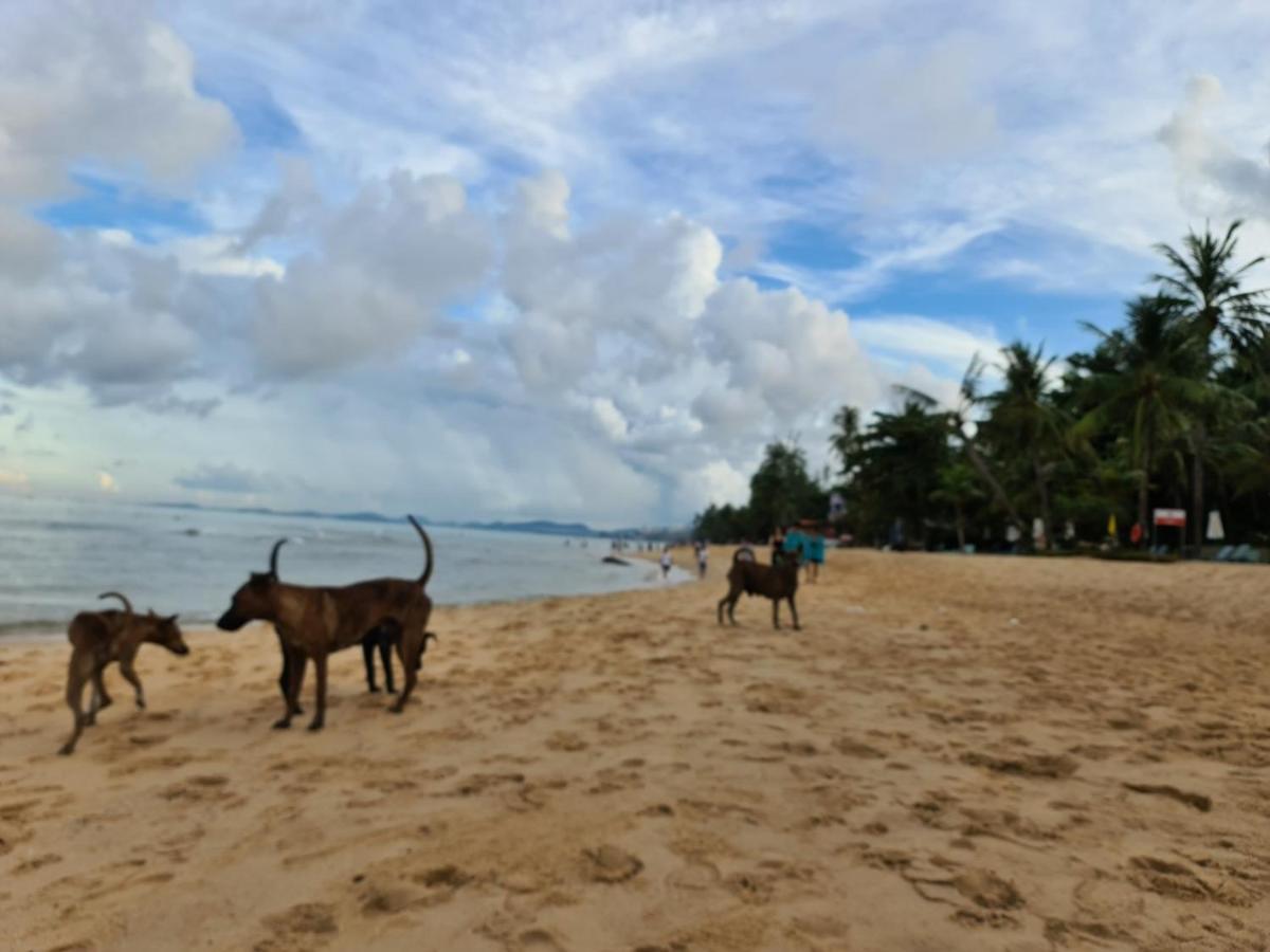Kim Lien Phu Quoc Guesthouse Exterior foto